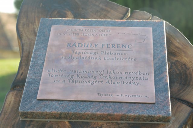 Ráduly Ferenc vasárnapi búcsúmise